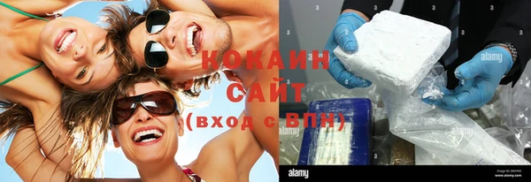 мяу мяу кристалл Няндома