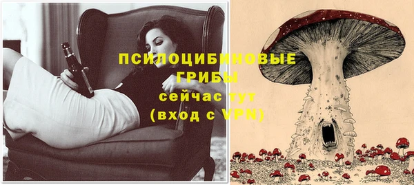 твердый Нязепетровск