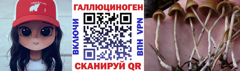 Псилоцибиновые грибы GOLDEN TEACHER  Плавск 